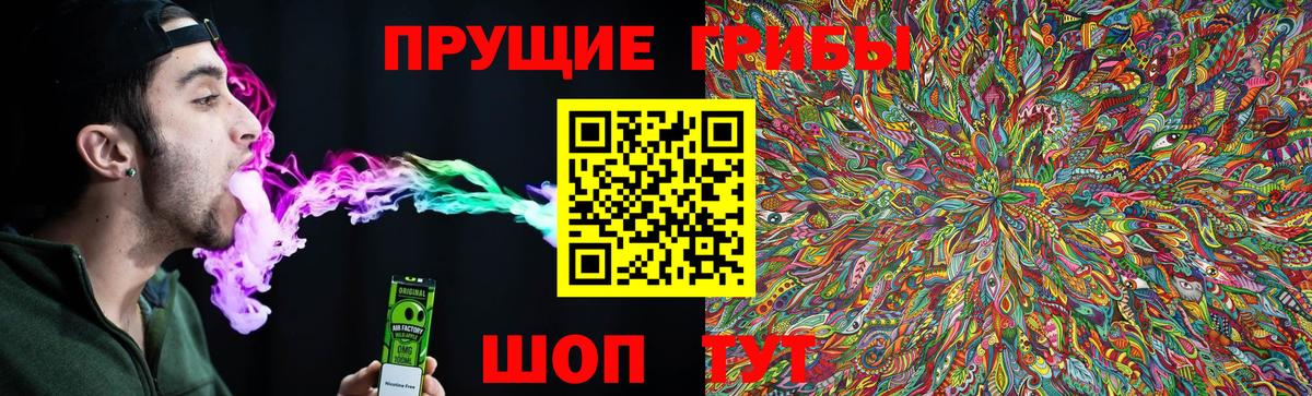 Псилоцибиновые грибы MAGIC MUSHROOMS  Вход с VPN  Звенигород 